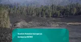 Foto, Kawasan Danau Ranu kumbolo Menghitam Usai Dilanda Kebakaran TNBTS