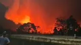 Kebakaran Lahan di Seberang TPA Galuga Bogor, Damkar Lakukan Penanganan