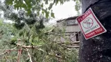 Dampak Badai Tropis Lala di Hawaii, Ratusan Ribu Pelanggan Alami Pemadaman Listrik