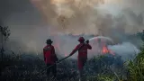 Update Penanganan Kebakaran Hutan di Kalimantan hingga Sumatera
