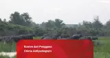 Gunung Es di Balik Kebakaran Hutan di Indonesia, Menelusuri Akar Masalah di Lapangan