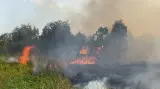 Waspada Karhutla di Banjarbaru, Lahan Terdampak Kini Capai 969 Hektare