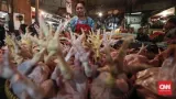 BPS Ungkap Penyebab Harga Daging Ayam Naik di 188 Daerah