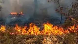 Kebakaran Hutan Picu 50.891 Kasus ISPA dalam Dua Bulan