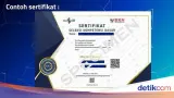 Akses Sertifikat CAT SKD Resmi BKN, Prosedur Unduh dan Verifikasi Keaslian Nilai Ujian