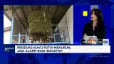 Penyebab dan Dampak Penurunan Produksi Minyak Kayu Putih di Indonesia