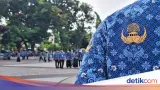 BKN Perjelas Mekanisme Penetapan NIP CPNS dan NI PPPK Melalui Layanan Digital
