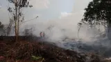 Operasional Pesawat Asing Ikut Tangani Karhutla, Prosedur Perizinan hingga Pengaturan Ruang Udara