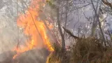 Media Asing Sorot Kebakaran Hutan RI, Asap Sudah Sampai Filipina