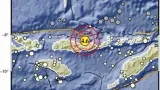 Gempa M4,6 di Nagekeo dan Sikka Picu Longsor di Pulau Palue