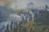 Kebakaran Gunung Bromo, Water Bombing Terhenti, Cuaca Jadi Kendala