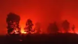 Kemenhut Ungkap Berbagai Tantangan Pemadaman Kebakaran Hutan di Kawasan Gambut Way Kambas