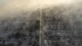 Karhutla Kepung Gunung Argopuro, Kawasan Suaka Margasatwa Dataran Tinggi Hyang Ditutup