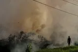 Karhutla di Pekanbaru Naik Status Jadi Tanggap Darurat Selama 14 Hari