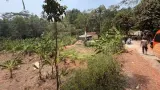 Kronologi Cekcok Batas Tanah Berujung Maut di Tasikmalaya