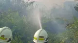 Ilalang di Kampung Bandan Jakut Kebakaran, 80 Personel Damkar Dikerahkan