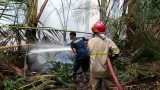 Potret Bencana di RI, Wilayah di Sumatra Ini Dihantam Kebakaran-Banjir