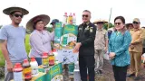 Program PESAT Malinau Ciptakan Lapangan Kerja dan Dorong Produksi Pangan