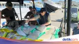 Penyaluran Bantuan Pangan Beras CBP melalui Badan Pangan Nasional Dipercepat untuk Bencana dan Stabilisasi Harga