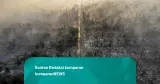 Karhutla di Muaro Jambi Berlangsung Lebih dari 20 Hari, Api Meluas Hampir 100 Hektare