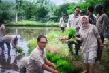 Penyaluran BLT Dana Desa untuk Penanganan Kemiskinan Ekstrem, Ketentuan dan Rincian Alokasi 2026