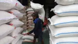 Stok Beras Ritel Dipastikan Aman usai 25 Merek Fortifikasi Ditarik