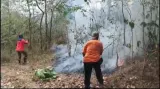 Padamkan Kebakaran Lahan di Majalengka, Petugas Temukan Warga Tewas Terbakar