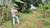 Pria Tewas di Kebun Bogor Ternyata Korban Tawuran, 1 Pelaku Ditangkap
