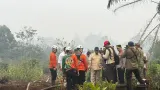 Izin 26 Perusahaan Pelaku Kebakaran Hutan Dibekukan, Dicabut Permanen?