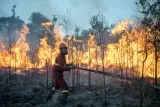 Mayoritas Karhutla Sengaja Dipicu demi Buka Lahan Sawit, Polri Tetapkan 72 Tersangka