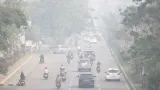 Panduan Menghadapi Darurat Karhutla dan Kabut Asap di Kota Pontianak
