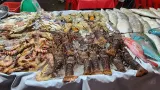 Siasat Hemat Belanja Protein dengan Beralih Mengonsumsi Ikan
