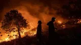 Kebakaran Lahan Hanguskan 30 Hektare Kawasan Taman Nasional Gunung Rinjani