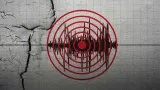 9 Gempa Bermagnitudo di Atas 4 Guncang Nagekeo NTT Pagi Ini