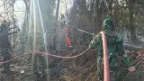 Kasus Kebakaran Hutan, 15 Korporasi Dibidik, 26 Izin Perusahaan Dibekukan