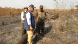 IKN Siaga 1! Api Kebakaran di 319 Hektare Lahan Belum Padam