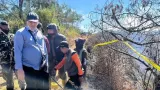 Kemenhut Bentuk Timsus Selidiki Dugaan Pidana Kebakaran Bromo