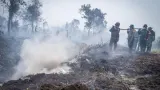 5.000 ASN Dikerahkan Tangani Karhutla di 6 Provinsi, Rincian dan Penugasannya