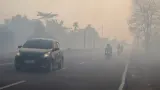 BNPB Sebut Kualitas Udara Berbahaya Imbas Kebakaran Hutan