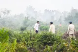 64 Ribu Hektare Hutan dan Lahan Terbakar, Polri, 62 Persen Berhasil Dikendalikan