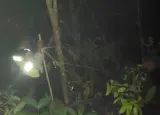 Kebakaran Hutan Pinus di Sadang Kebumen Hanguskan 2,5 Hektare Lahan