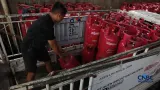 Harga LPG Non-Subsidi dan 3 Kg di Agen Resmi per 6 Agustus 2026