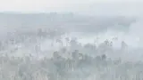 Kabut Asap Muncul Dekat Bandara, Penanganan Karhutla 8.900 Hektar di Kalimantan Selatan Diprioritaskan