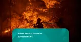 Kebakaran Lahan di Pemulutan Ogan Ilir, Petugas Gabungan Berjibaku Padamkan Titik Api