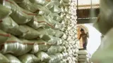 Stok Beras Melimpah, Pangan Korban Gempa NTT Dijamin Aman