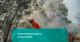Kawasan TNBTS Terbakar, Kunjungan Wisata Gunung Bromo Ditutup Total