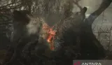 Dampak Kebakaran Hutan Ekstrem, Ledakan Amunisi di Prancis hingga Titik Api di Indonesia