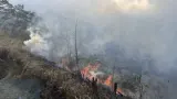 Akses Wisata Gunung Bromo Ditutup Sebagian Akibat Kebakaran di Blok Bantengan