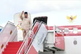 Prabowo Tinjau Penanganan Gempa NTT dan Pastikan Pemulihan Tuntas Dua Pekan