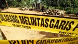 Kemenhut Tangkap Buron Pemodal Pembalakan Liar di Kalimantan Tengah
